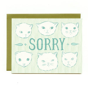 Sorry Cats Sympathy Card