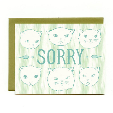 Sorry Cats Sympathy Card